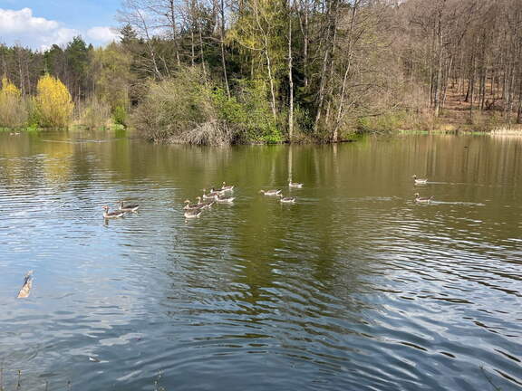 22-04-15 15-13-23 0498